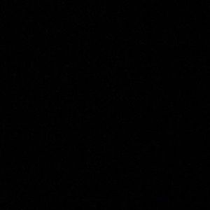 Meet your Posher, Calvin